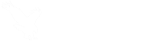 Falcon Engineering Logo - For Pineapple Sucker Rod Bearings